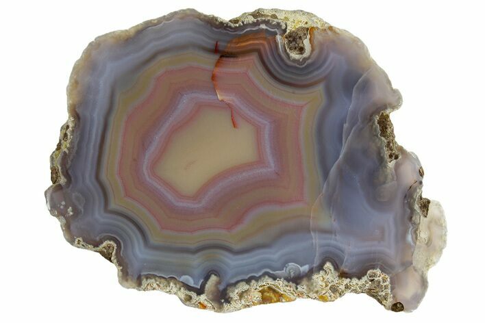 Polished Laguna Agate Slab - Mexico #180596